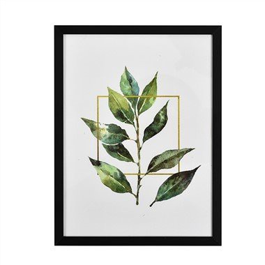 Thin Picture Frames 6x8